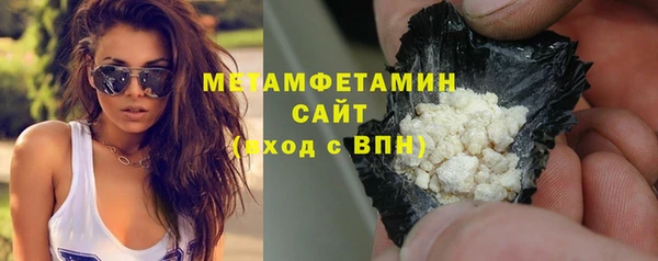 трава Сясьстрой