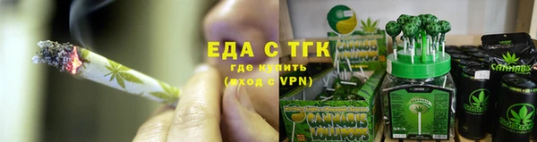амф Тайга