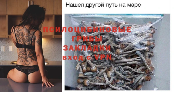 соль ск Медногорск