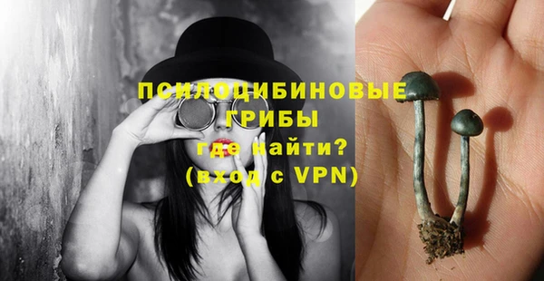прущая мука Медвежьегорск