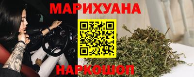 амф Гатчина