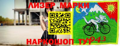 амф Гатчина