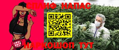 амф Гатчина