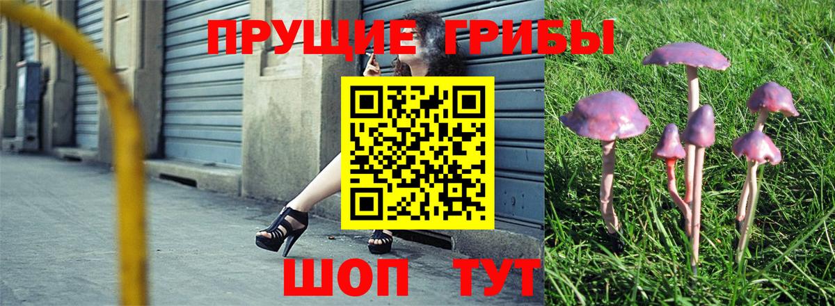 Камень-на-Оби  Галлюциногенные грибы Cubensis  Вход с VPN 