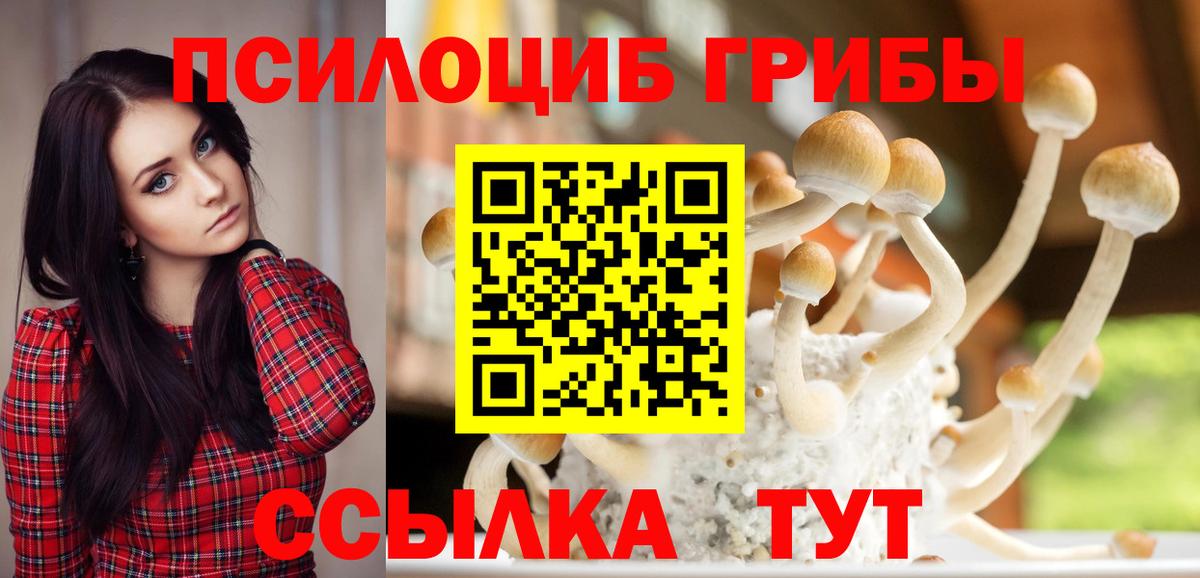 Галлюциногенные грибы мухоморы Камень-на-Оби